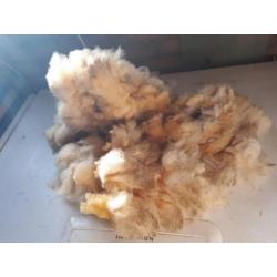 40 gram Antidrukwol om mee te wandelen / schapenwol
