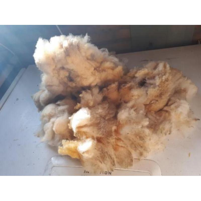 40 gram Antidrukwol om mee te wandelen / schapenwol