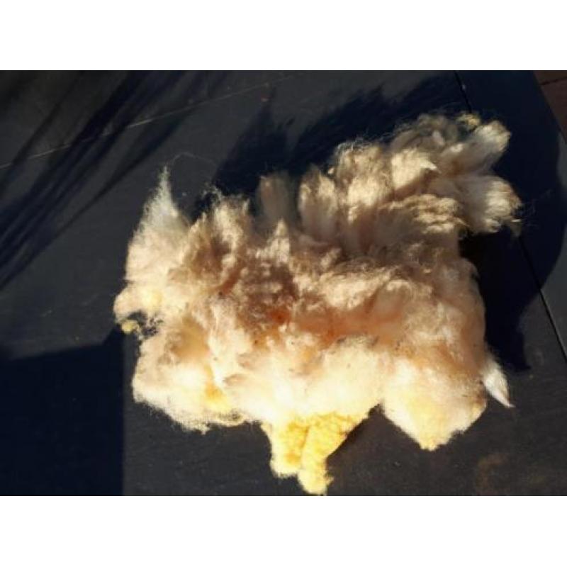 40 gram Antidrukwol om mee te wandelen / schapenwol